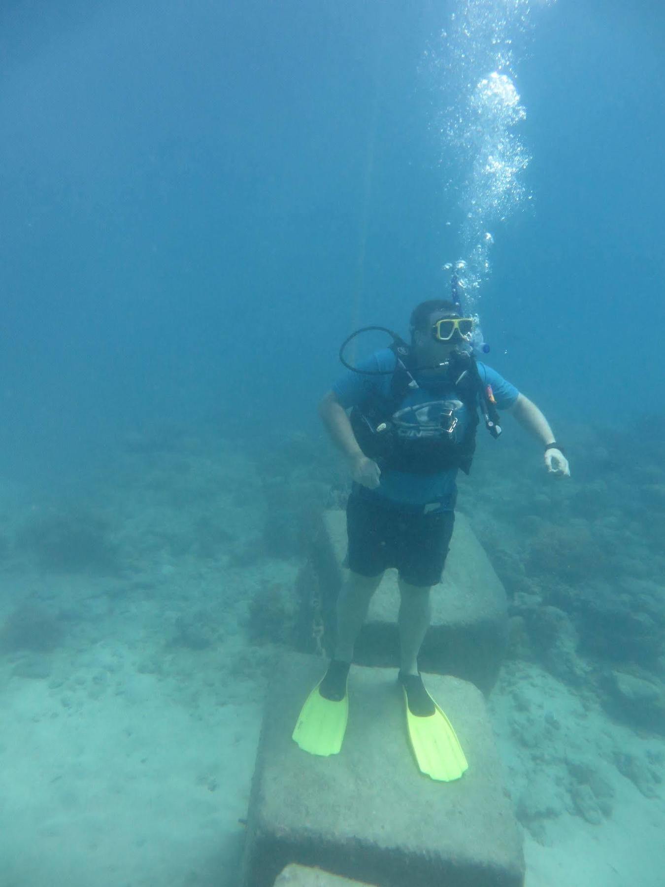 بيت شباب Reef Backpackers كيرنز المظهر الخارجي الصورة